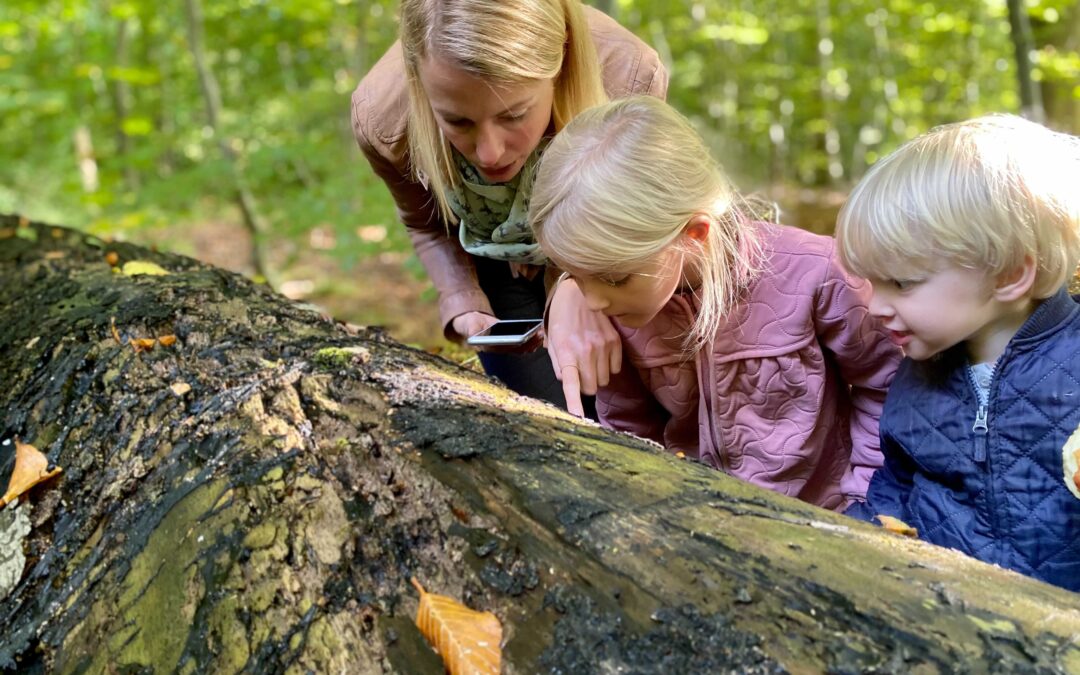 Nyt samarbejde skal gøre de yngste klogere på biodiversitet 